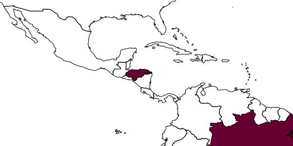 map of Anisepyris hondurensis     Evans, 1966